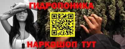 a pvp Краснодар