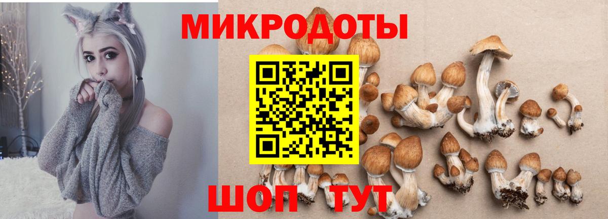 Костомукша  Галлюциногенные грибы прущие грибы  Вход с VPN 